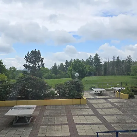 Gemuetliche 479 Mit Pool, Sauna & Wunderschoener Aussicht In Braunlage-hohegeiss Lejlighed *