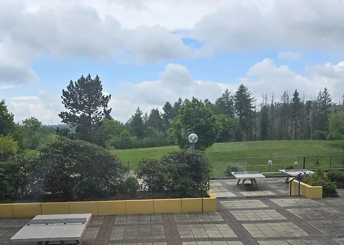 Gemuetliche 479 Im Panoramic Hohegeiss Mit Pool Und Sauna Apartman *