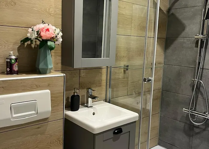 Apartman Gemuetliche 479 Im Panoramic Hohegeiss Mit Pool Und Sauna Braunlage